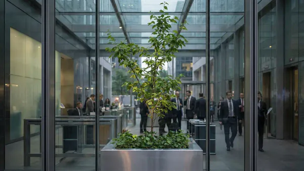 The High-Potential Development Playbook: A Recipe for Accelerating Your Best People - Resource about Performance Management