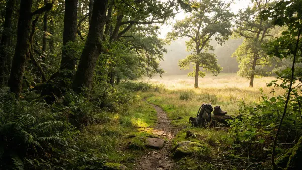 Performance Improvement Plan Guide: Complete Framework + PIP Template & Examples - Resource about Performance Management